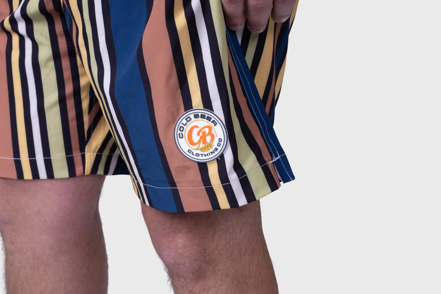 Sandbar Stripes Swim Trunks